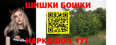 шишки Краснознаменск